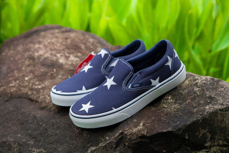 Vans Era Low Top Shoes-160