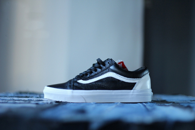 Vans Era Low Top Shoes-212