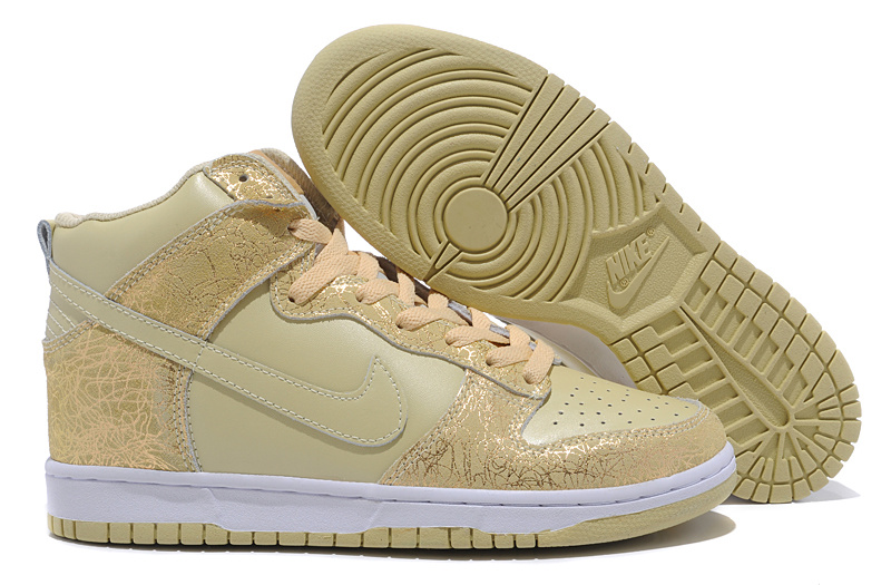 Nike Dunk High Pro SB shoes-011