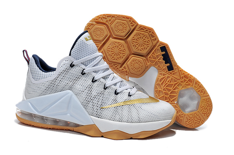 Nike LeBron James 12 Low shoes-005