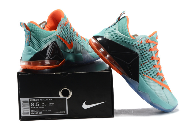 Nike LeBron James 12 Low shoes-011