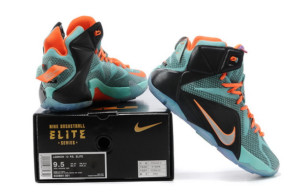 Nike LeBron James 12 shoes-003