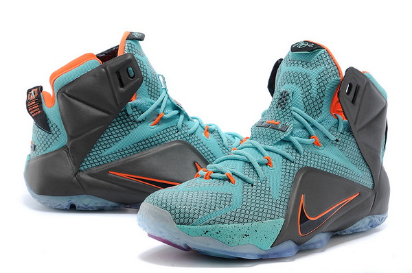 Nike LeBron James 12 shoes-006