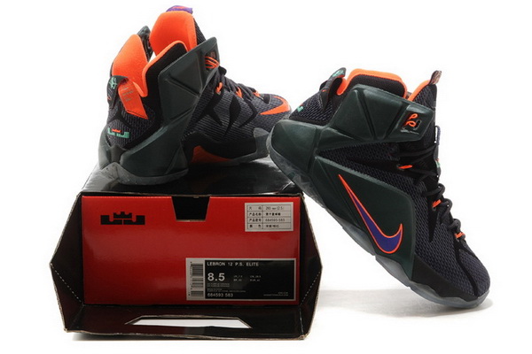 Nike LeBron James 12 shoes-025