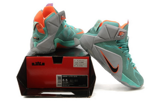 Nike LeBron James 12 shoes-026