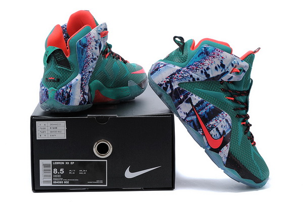 Nike LeBron James 12 shoes-058