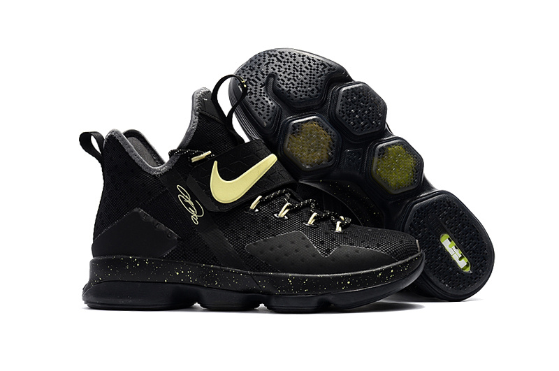 Nike LeBron James 14 shoes-004