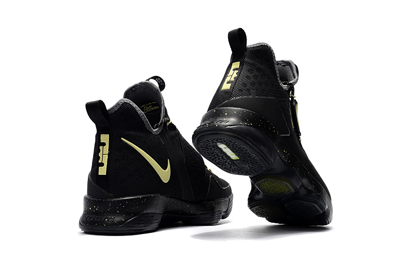 Nike LeBron James 14 shoes-004