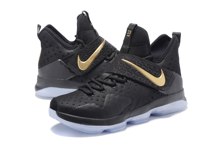 Nike LeBron James 14 shoes-014