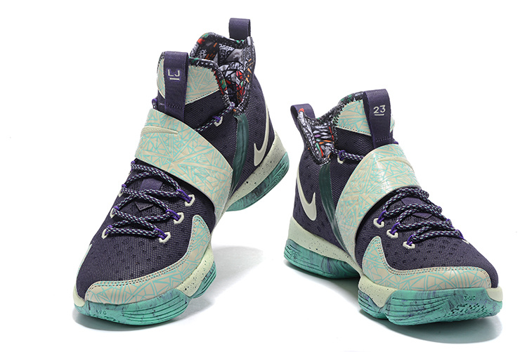 Nike LeBron James 14 shoes-024