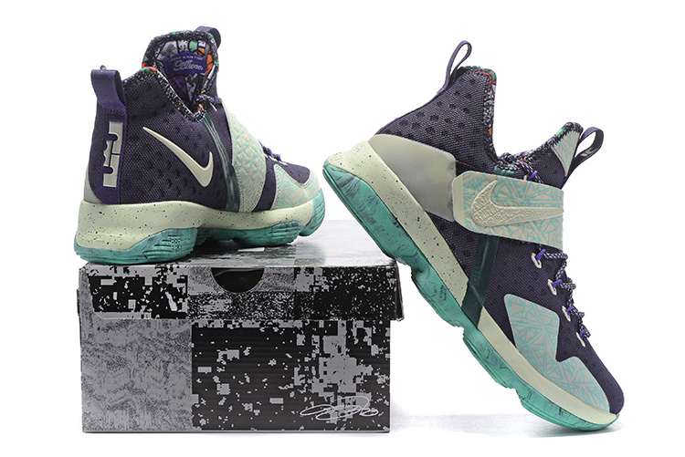 Nike LeBron James 14 shoes-024