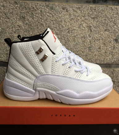 Air Jordan 12 shoes AAA-026