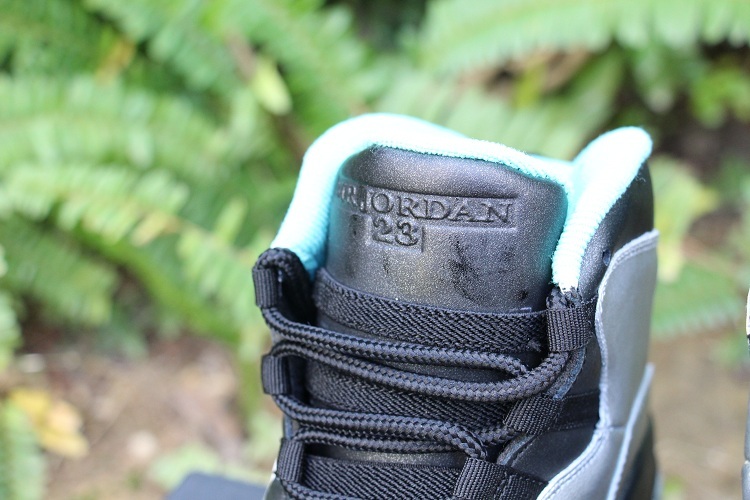 Super Max Perfect Air Jordan 10 Shoes-005