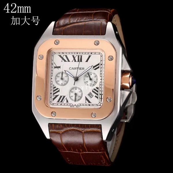 Cartier Watches-029