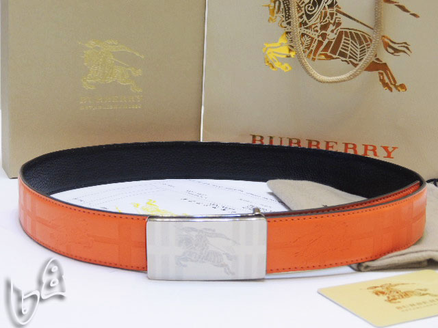 Burberry Belt 1:1 Quality-170