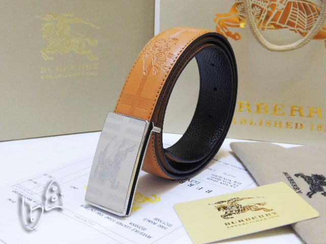 Burberry Belt 1:1 Quality-172