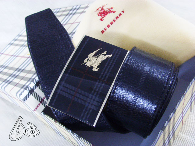 Burberry Belt 1:1 Quality-293