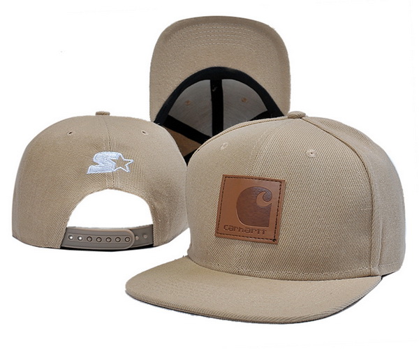 Carhartt Snapbacks-007