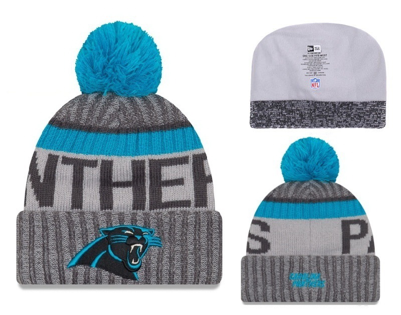 Carolina Panthers Beanies-005