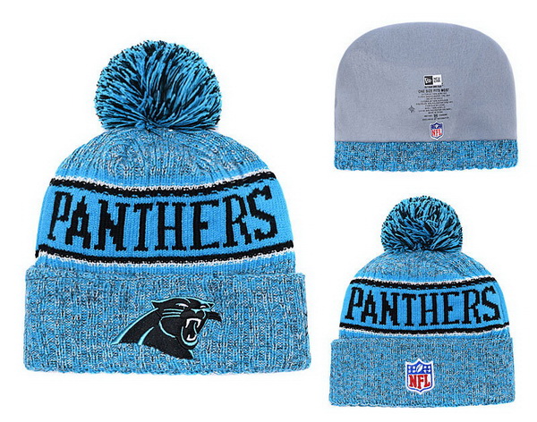 Carolina Panthers Beanies-019