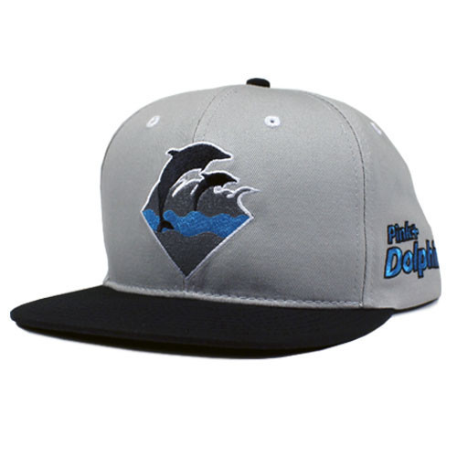 Cartoon Snapbacks-124