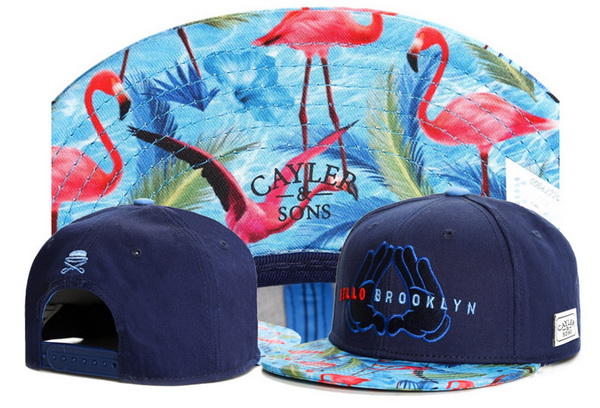 Cayler&Sons Snapbacks-069