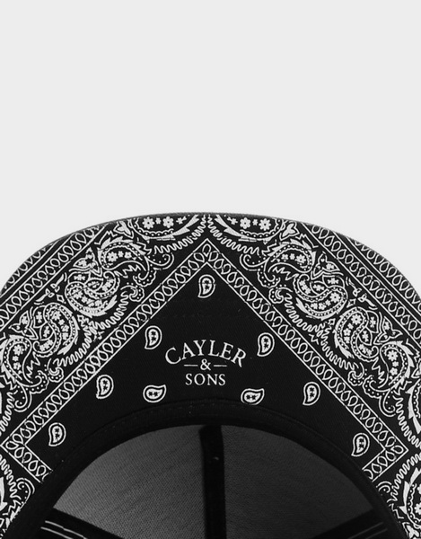 Cayler&Sons Snapbacks-122