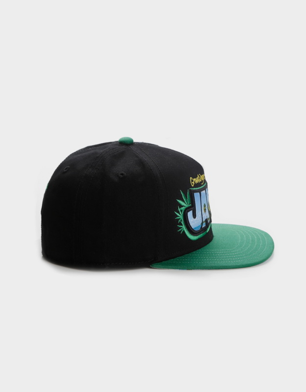 Cayler&Sons Snapbacks-139