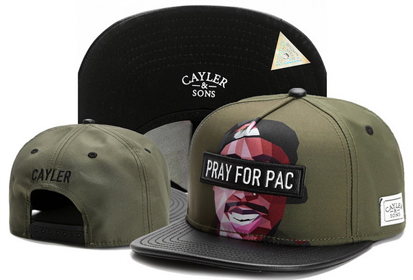 Cayler&Sons Snapbacks-228