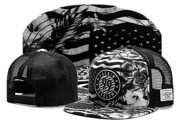 Cayler&Sons Snapbacks-278