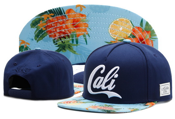 Cayler&Sons Snapbacks-289