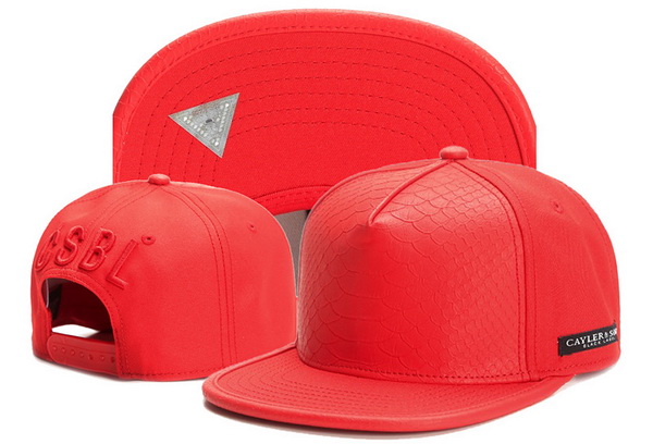 Cayler&Sons Snapbacks-294