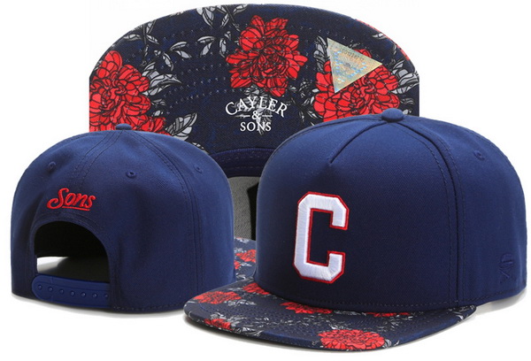 Cayler&Sons Snapbacks-362