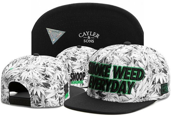 Cayler&Sons Snapbacks-368