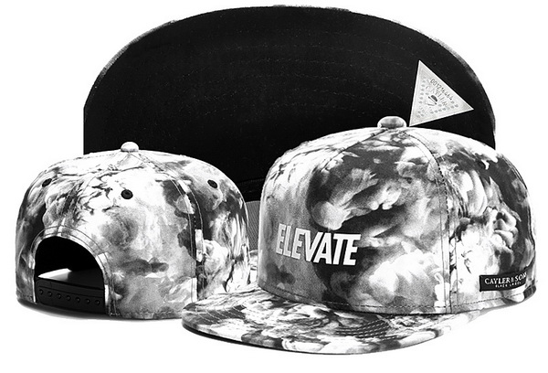 Cayler&Sons Snapbacks-379