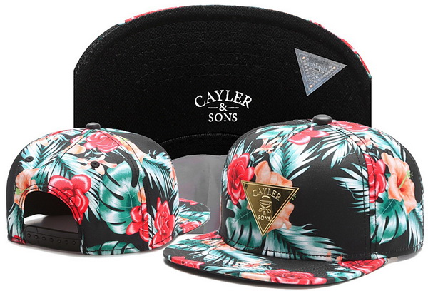 Cayler&Sons Snapbacks-418