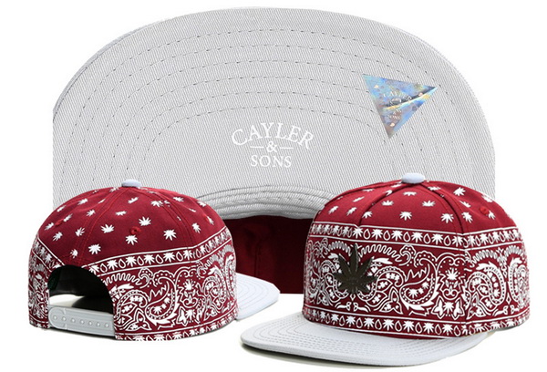 Cayler&Sons Snapbacks-432