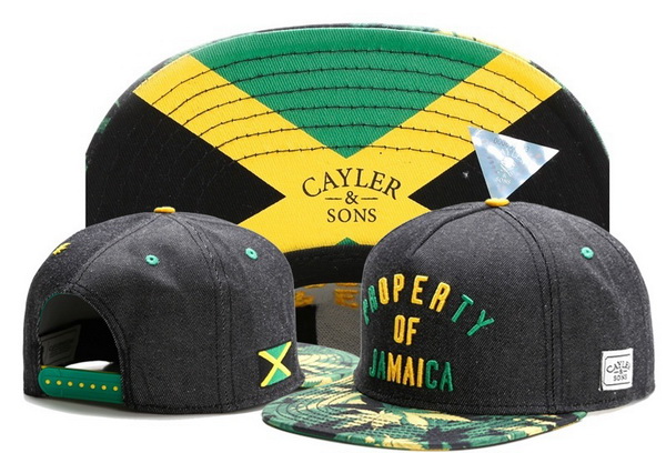 Cayler&Sons Snapbacks-542