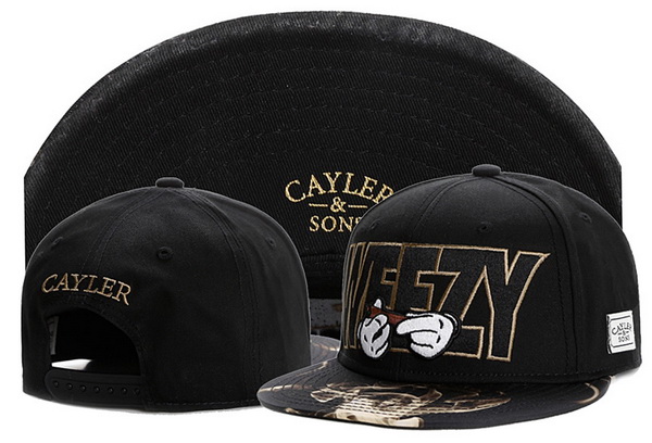 Cayler&Sons Snapbacks-599