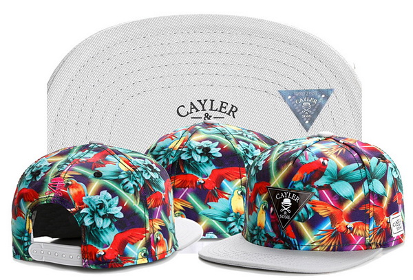 Cayler&Sons Snapbacks-619