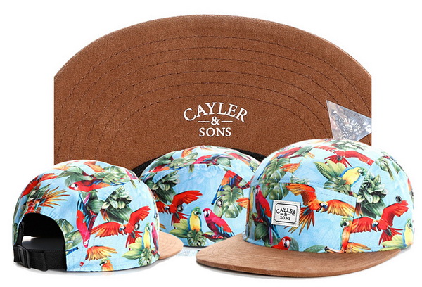 Cayler&Sons Snapbacks-627