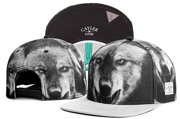 Cayler&Sons Snapbacks-697