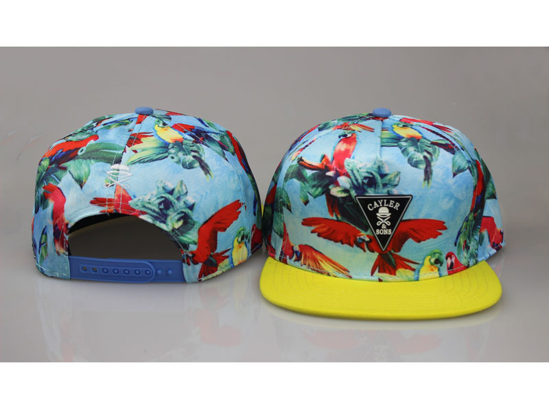 Cayler&Sons Snapbacks-823