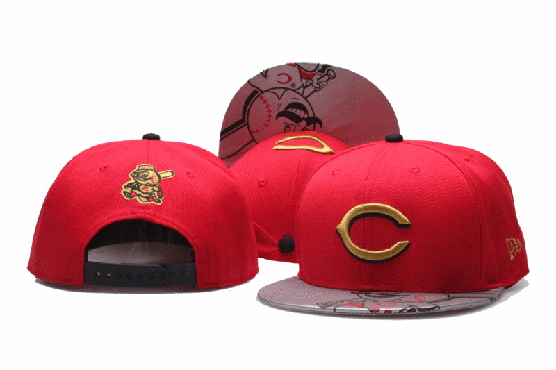 Chicago Bears Snapbacks-041