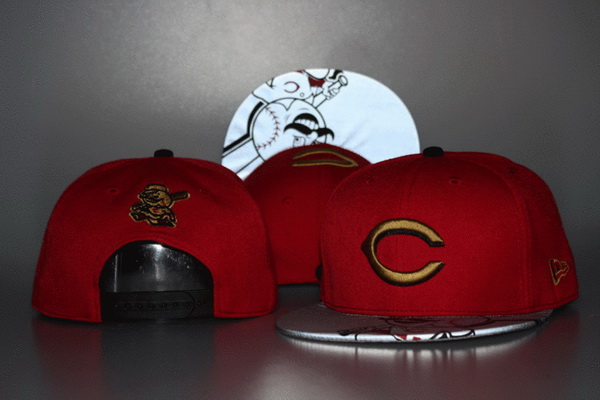 Chicago Bears Snapbacks-042