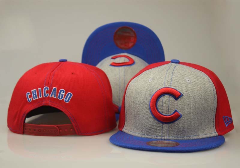 Chicago Bears Snapbacks-047