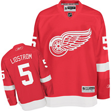 Detroit Red Wings jerseys-019