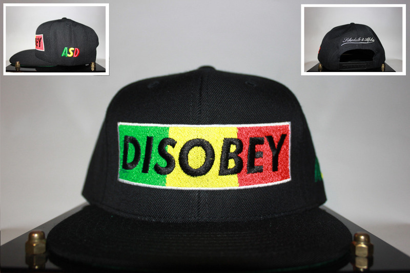 Disobey Snapbacks-004