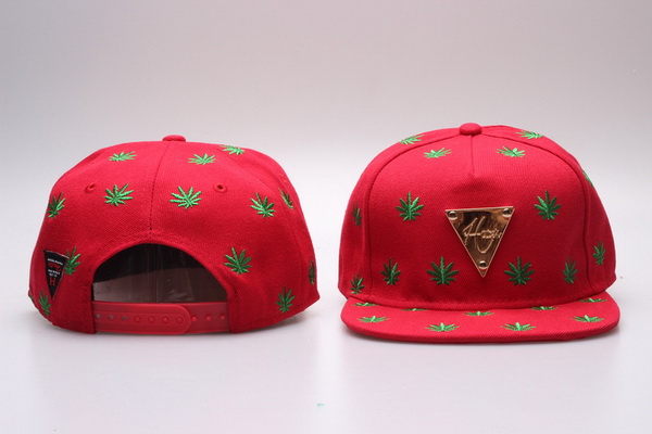 Hater Snapbacks-029