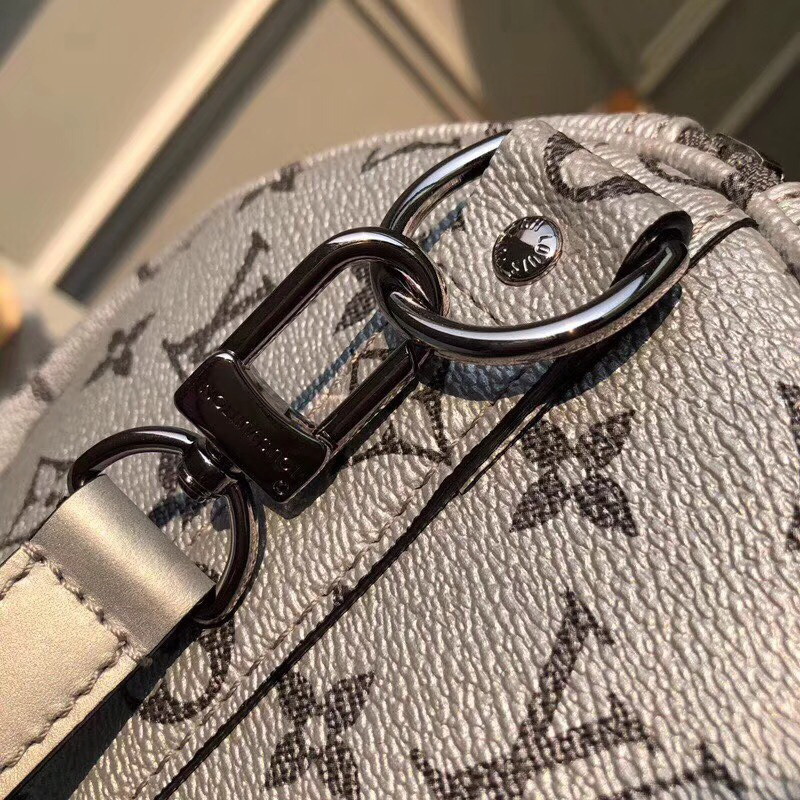 LV Monogram Sliver Travel Bag